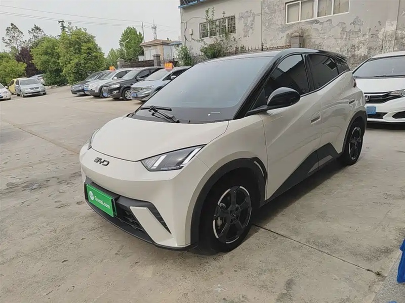 BYD Seagull