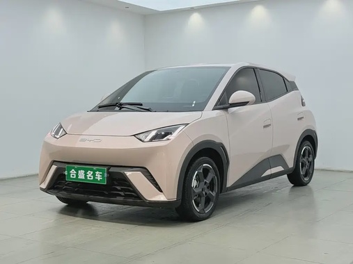 BYD Seagull 2024