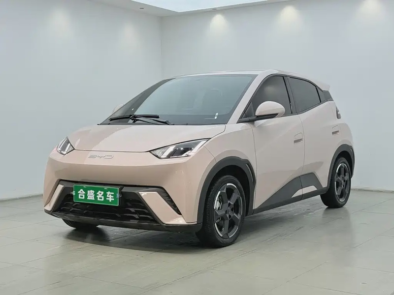 BYD Seagull
