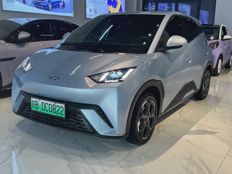 BYD Seagull