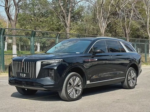 Hongqi E-HS9 2021