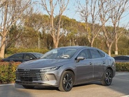 BYD Destroyer 2024