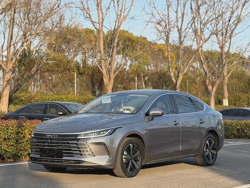 BYD Destroyer