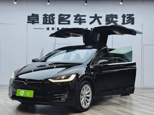 Tesla Model X 2020