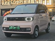 Wuling Mini 2022