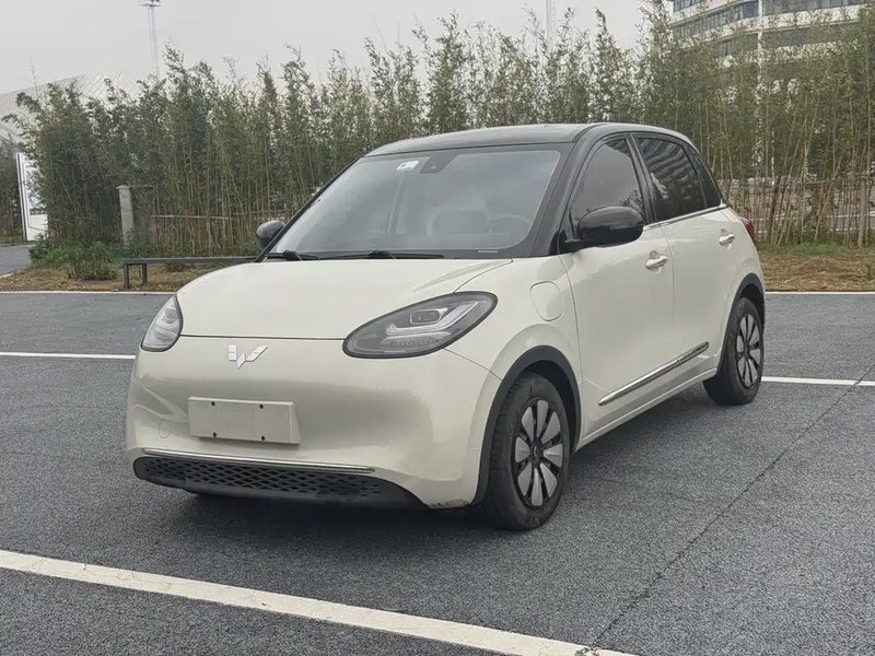 Wuling Bingo