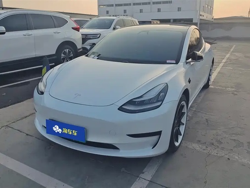 Tesla Model 3 2020