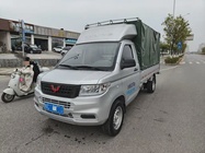 Wuling New Truck 2025