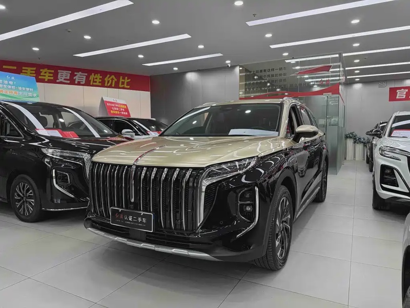 Hongqi HS7
