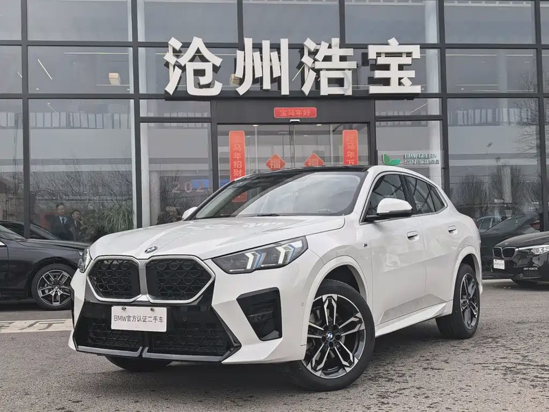 BMW X2