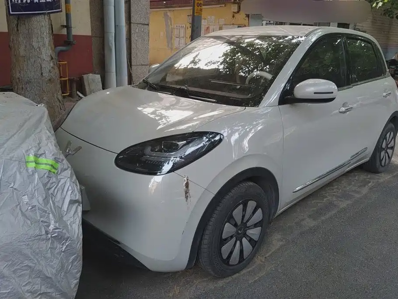 Wuling Bingo