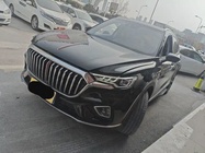 Hongqi HS5 2020
