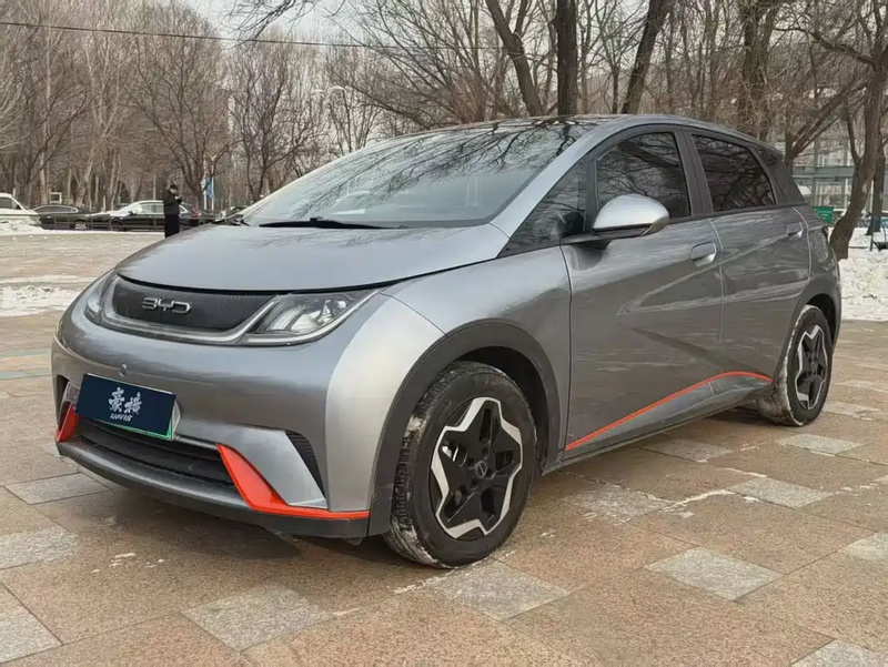 BYD Dolphin