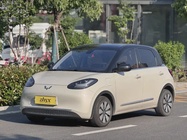 Wuling Bingo 2023