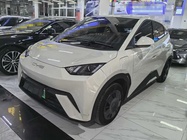 BYD Seagull 2024