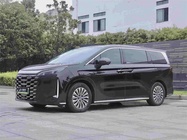 BYD Xia 2025