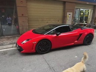 Lamborghini Gallardo 2010