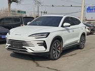 BYD PLUS 2024