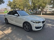 BMW 2 Series 2019