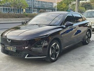 Wuling Xingguang 2024