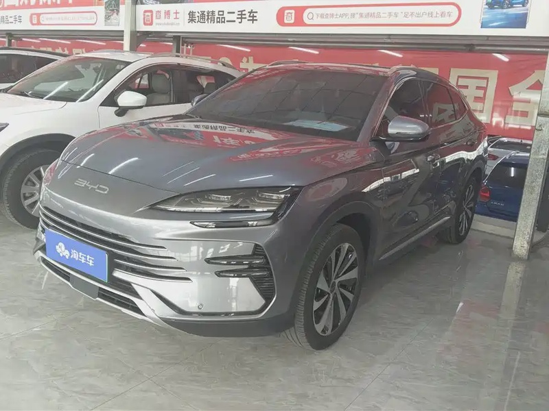 BYD PLUS