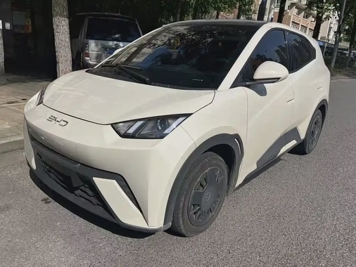 BYD Seagull 2024