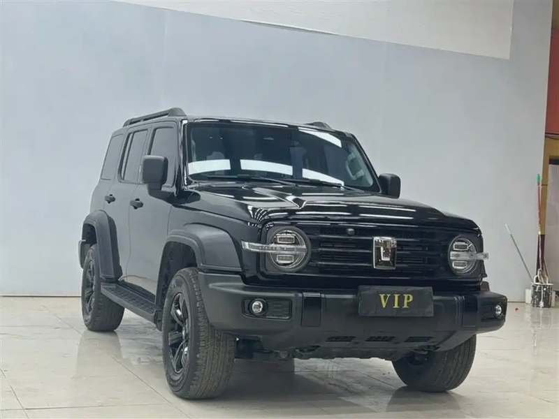 Tank 300