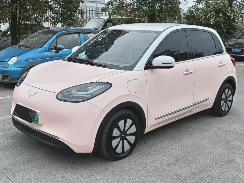 Wuling Bingo