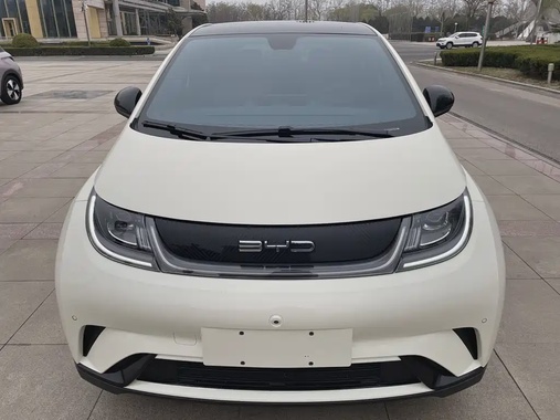 BYD Dolphin 2024