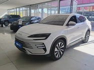 BYD PLUS 2024