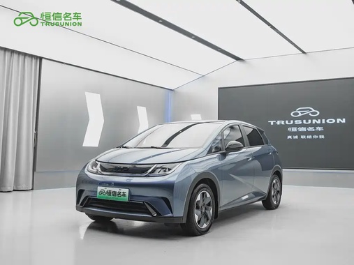 BYD Dolphin 2024