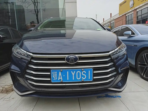 BYD MAX 2020
