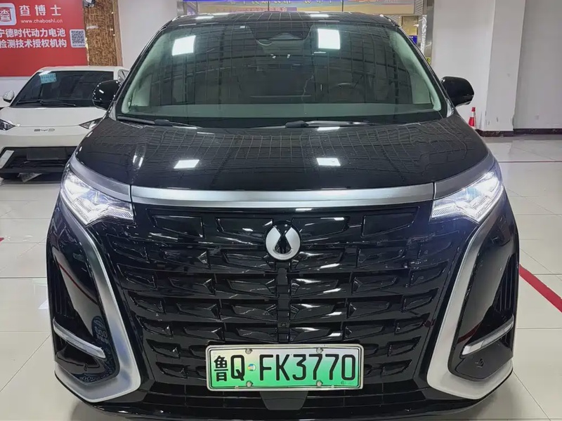 Denza D9
