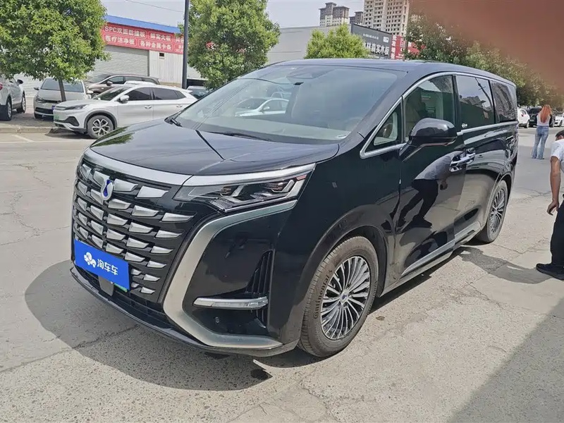 Denza D9
