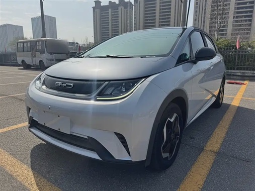 BYD Dolphin 2022