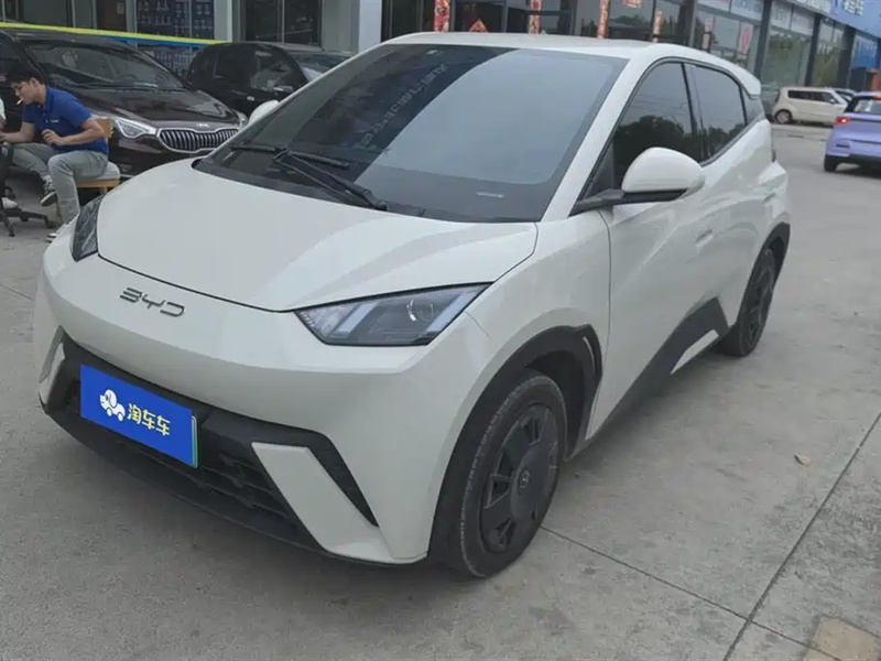 BYD Seagull