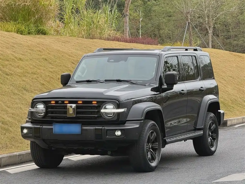 Tank 300