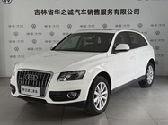 Audi Q5 2010