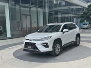 Toyota Wildlander 2020