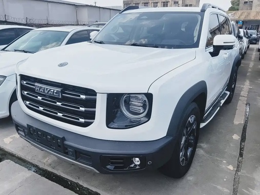 Haval Big Dog 2021
