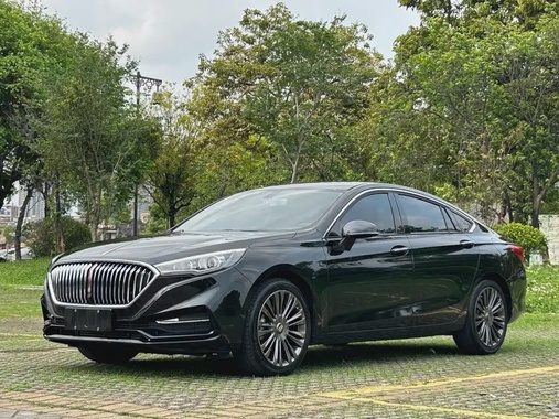 Hongqi H5 2020