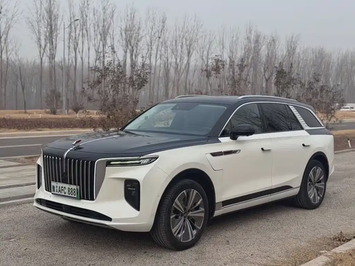 Hongqi E-HS9 2021
