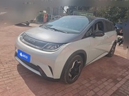 BYD Dolphin 2022
