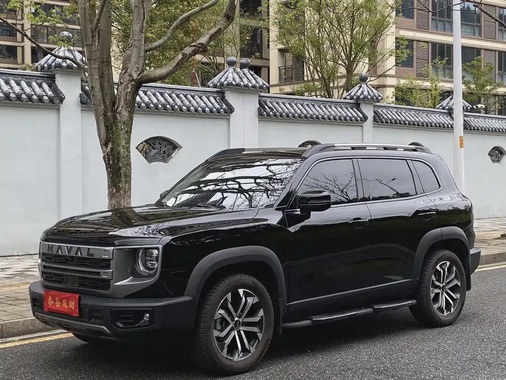Haval Big Dog 2025