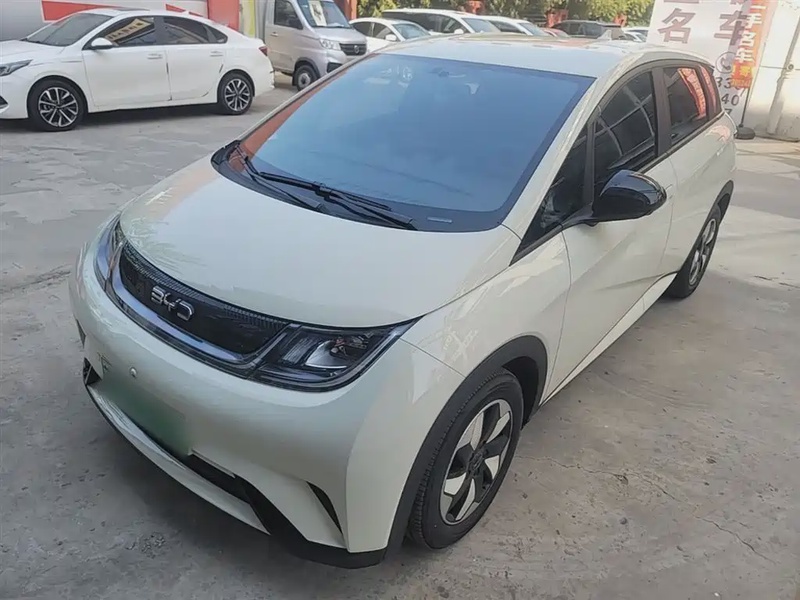 BYD Dolphin