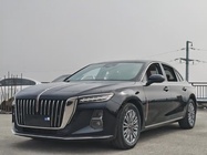 Hongqi H5 2023