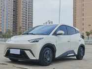 BYD Seagull 2024