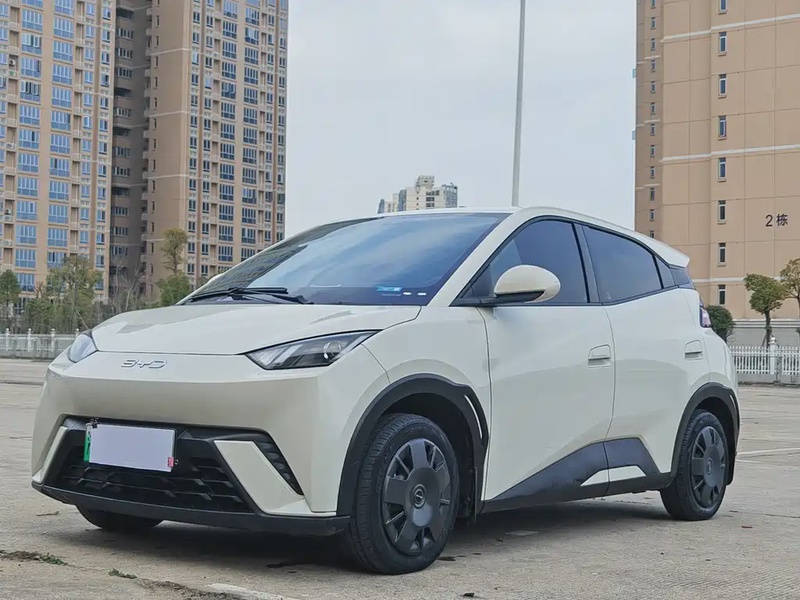 BYD Seagull