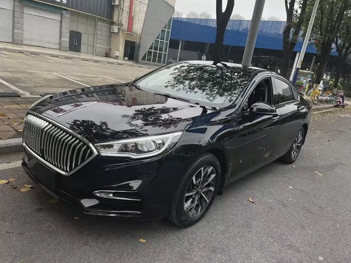 Hongqi H5 2020