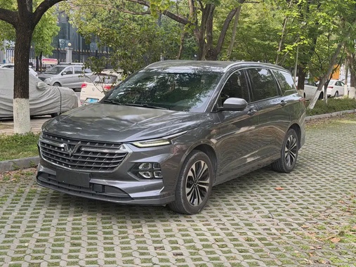Wuling Victory 2021